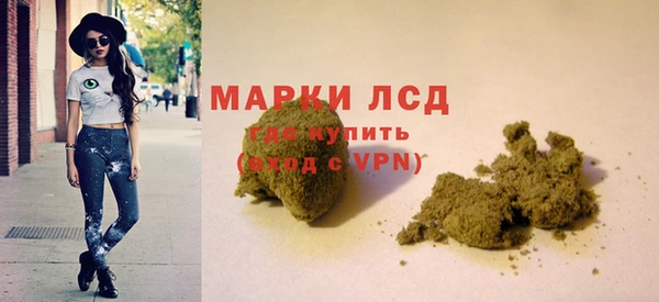 прущие крисы Бородино