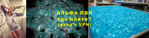 индика Бронницы