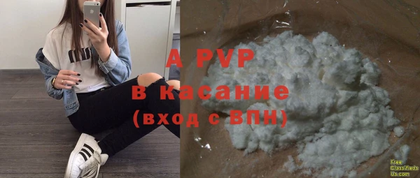 прущие крисы Бородино