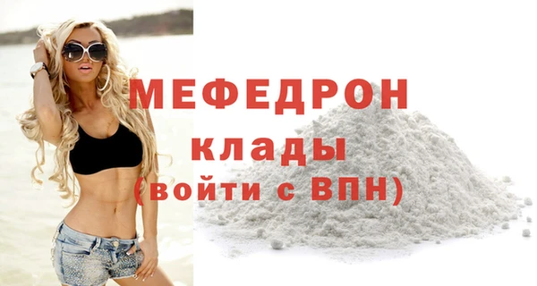 индика Бронницы