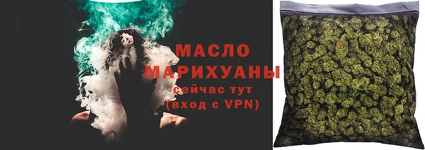 индика Бронницы