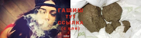 индика Бронницы