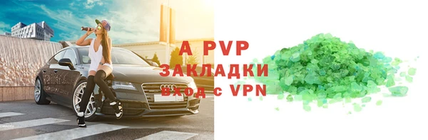 прущие крисы Бородино