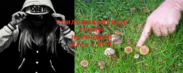 индика Бронницы