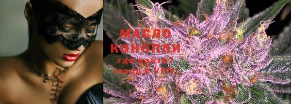 индика Бронницы