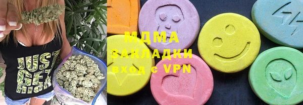 индика Бронницы