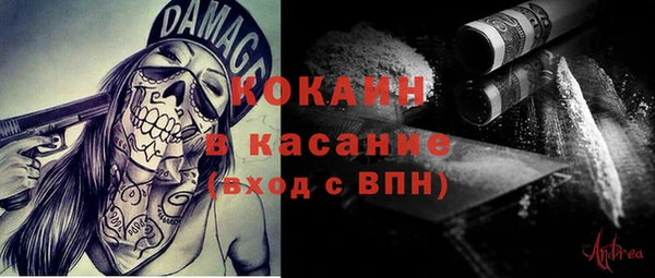 прущие крисы Бородино
