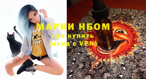 индика Бронницы