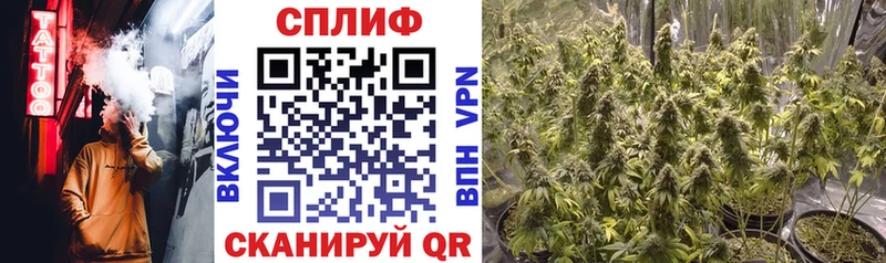 Марихуана White Widow Нижневартовск
